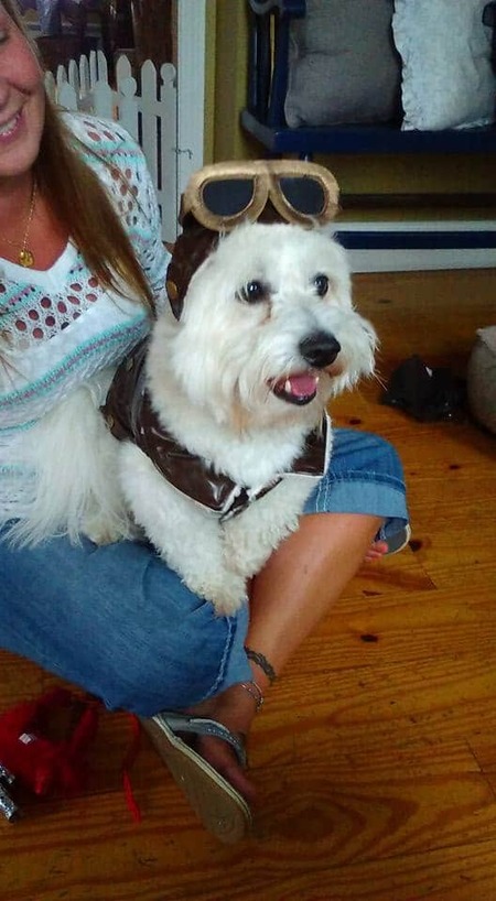 Bruno