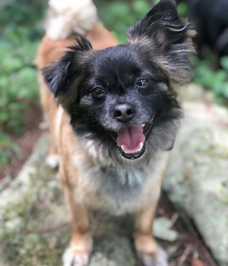 Milo
