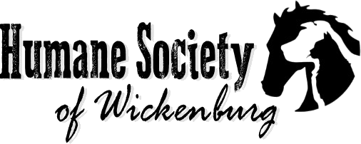 Logo for 2021 HSW Pet Calendar Photo Contest