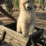 Entry image for Maverick 