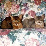 Entry image for Jasper and Emma Lou