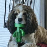Entry image for LuLu