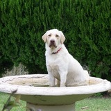 Entry image for Jake