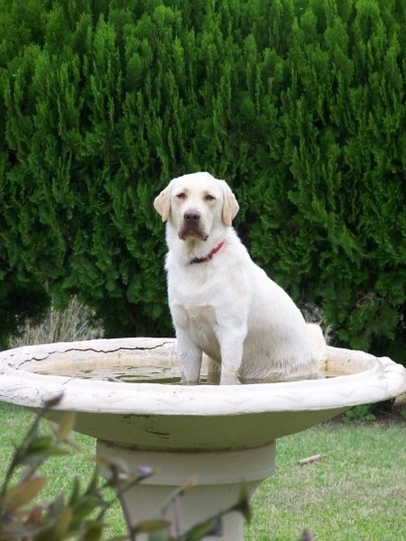 Entry image for Jake. Clicking this image will show a larger photo