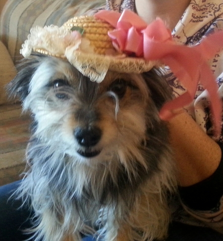 Entry image for Suzie. Clicking this image will show a larger photo