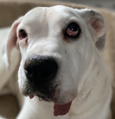 Molly