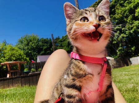 Clara 