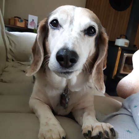 Miss Ruby Redford