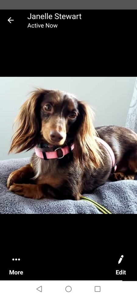 Nellie