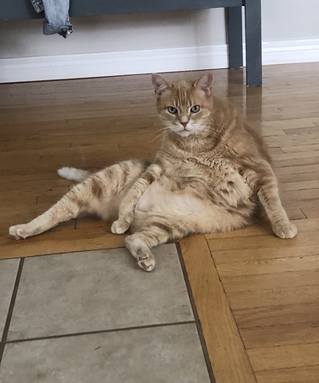 Wesley