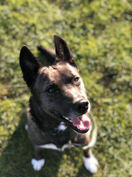 Winnie 