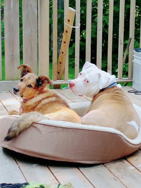 Winnie & Myles