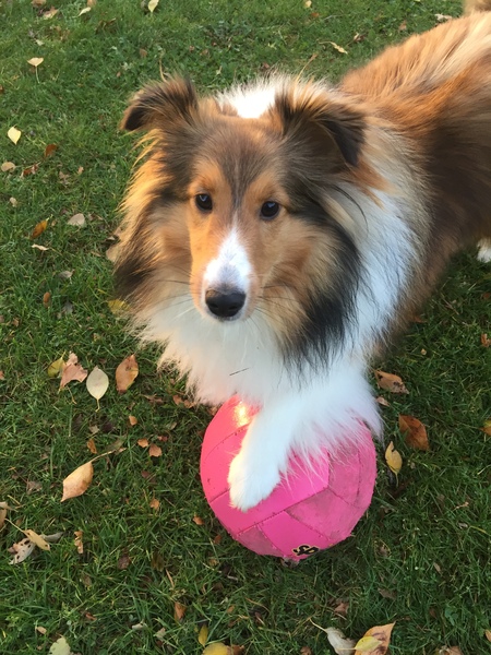 Sophie