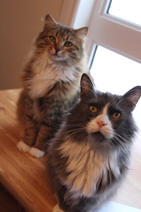 Forrest & Duddley