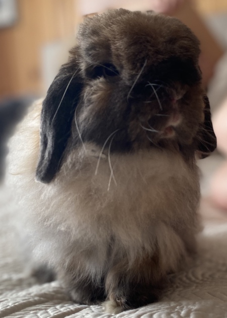 Stanley