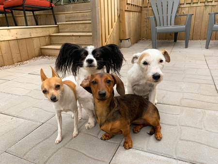 Walter,Doris,Blanche and Bob