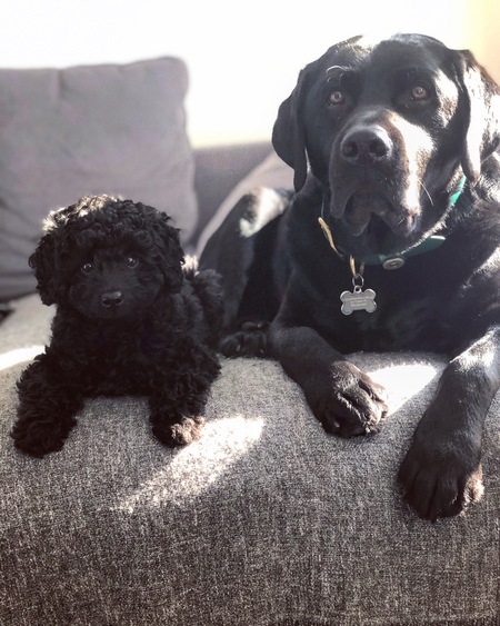 Norman & Smokey