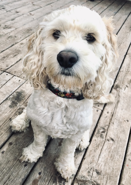 Morgan