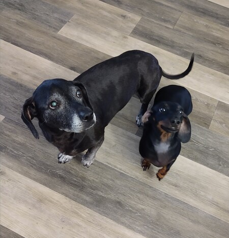 Charlie and Superman