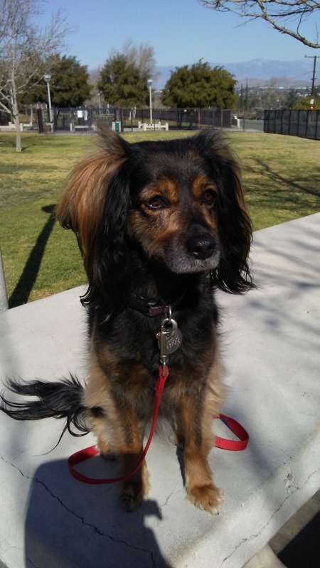 Roxie