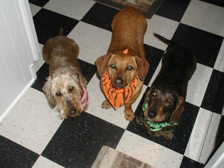 Grace, Jake, and Caroline