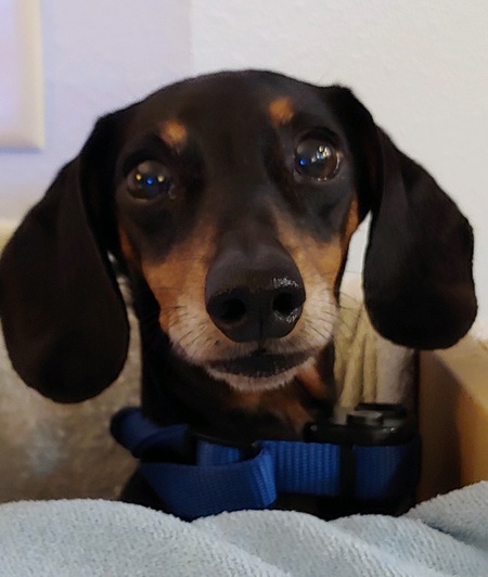 Precious 