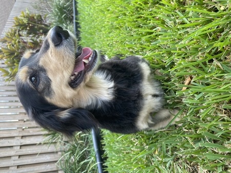 Lucy