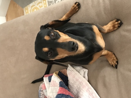 Winston
