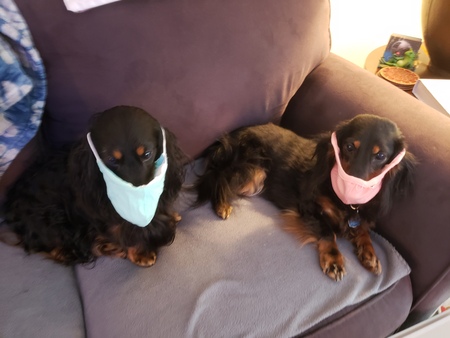 Derby and Daisy 