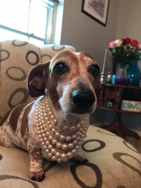 Lil Precious Hartmeier