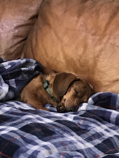 Gracie Lou