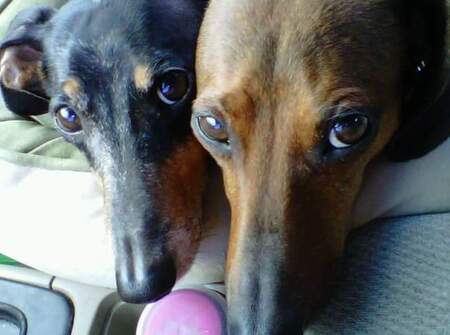 Boomer & LeRoy