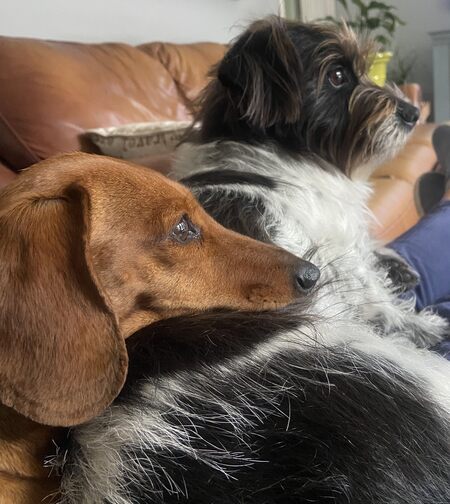 Phoebe and Charlie