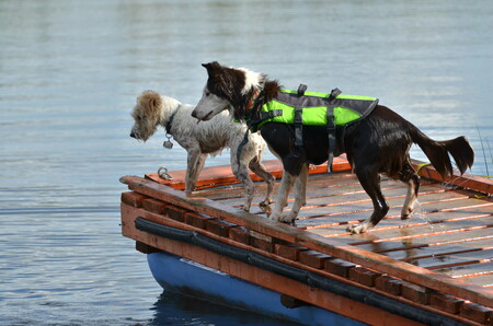 Envy (in lifejacket) and Bukkle Up