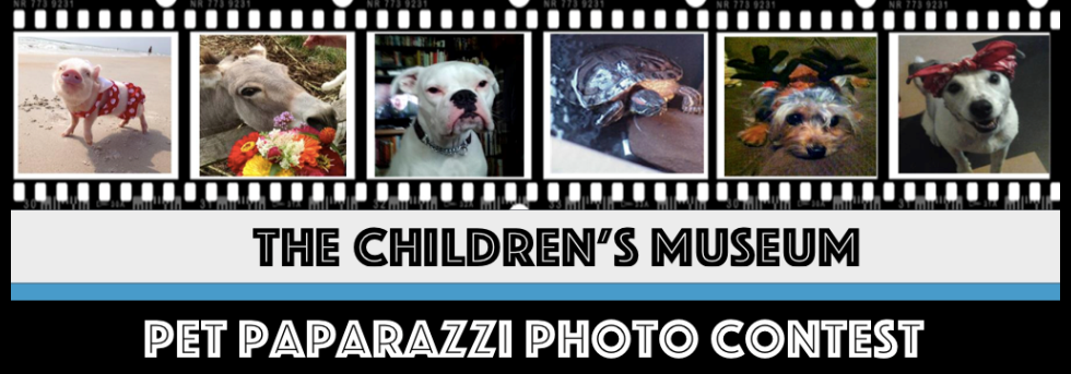 Banner for 2015 Children's Museum Pet Paparazzi Photo Contest
