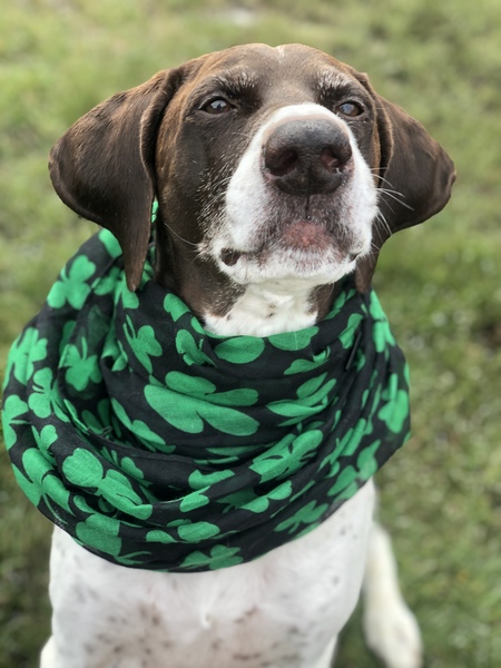 Charlie 