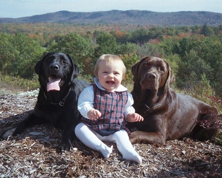 Meg, Roo, and Tigger 