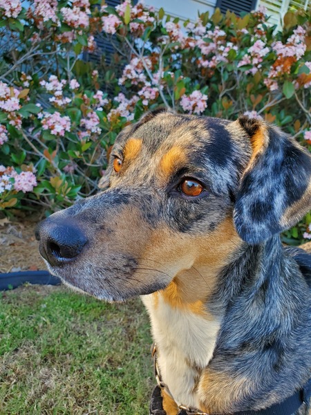 Jack