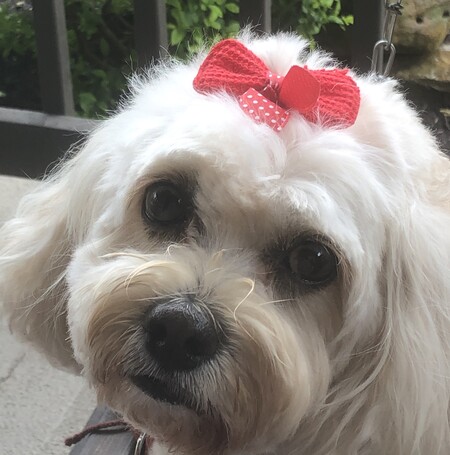 Sophie