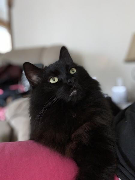 Romeo