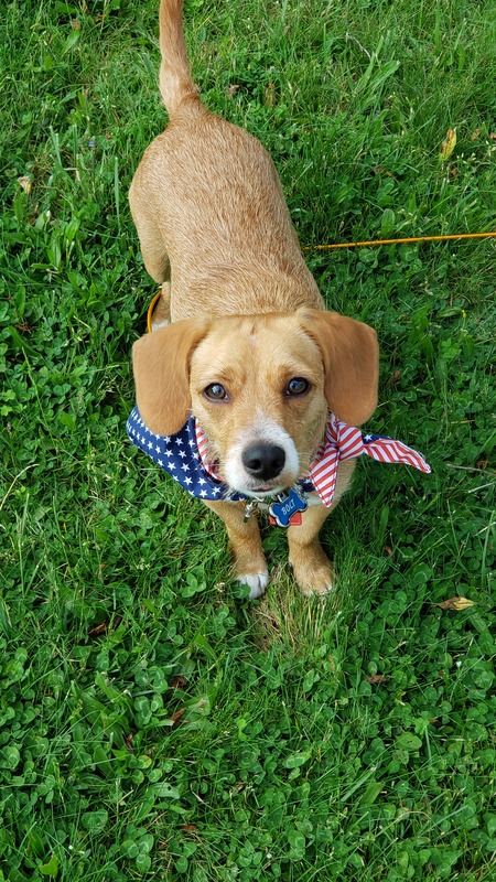 Bolt