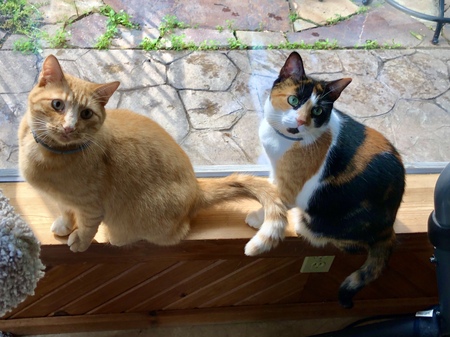 Hamlet & Karma