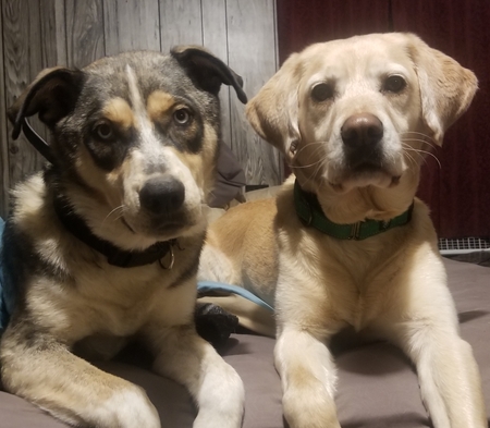 Tippy & Benny