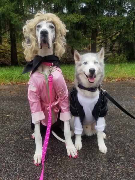 Nena & Sampson
