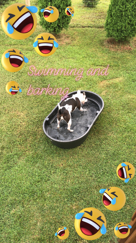 tootsie