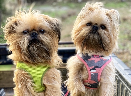 Bulah & Lyza Jane