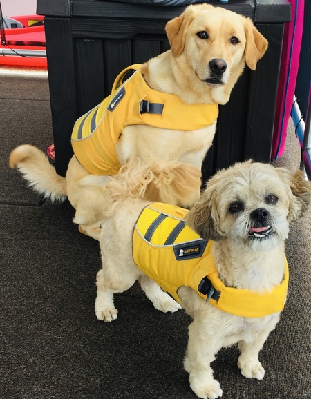 Bailey & Annie