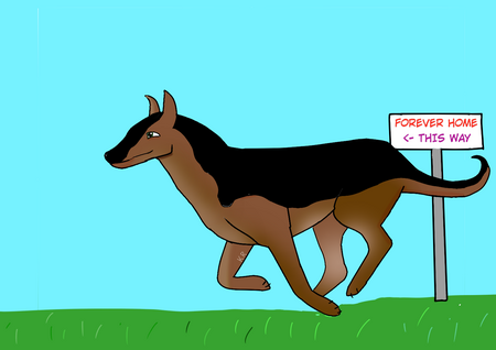 Dog Running To Its Forever Home