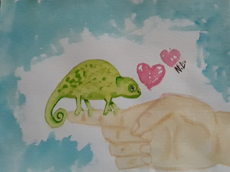 Love Animals 