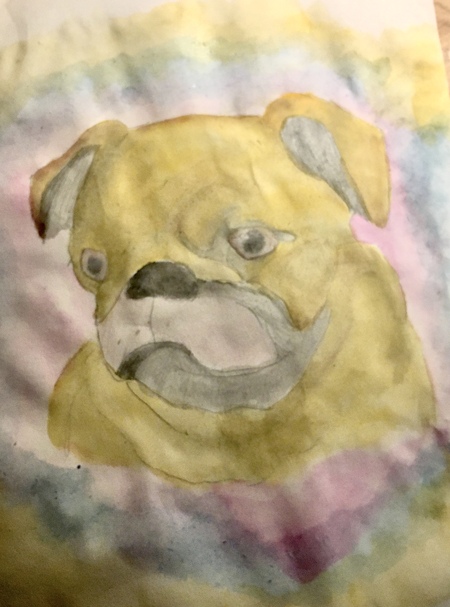 Pug